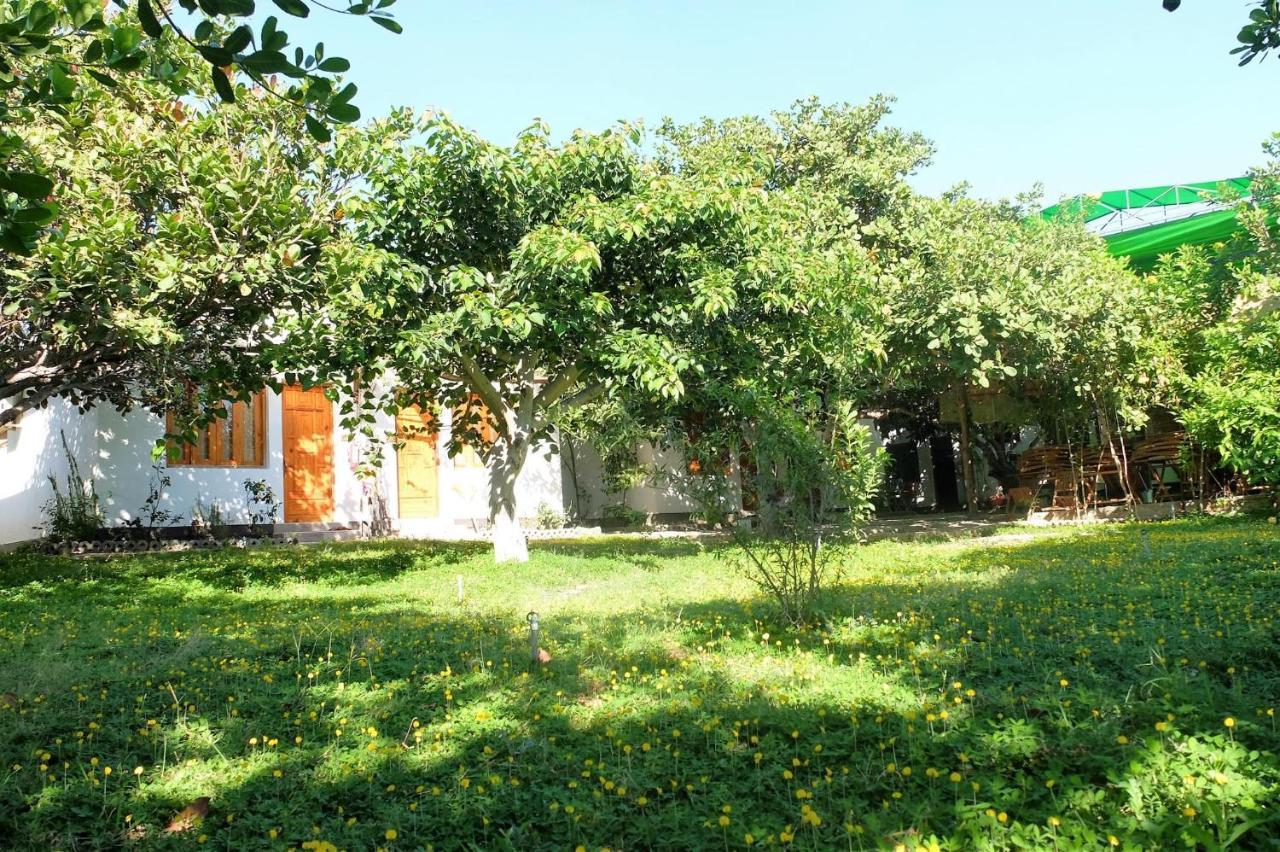 Dao Hoa Vang Villa Камрань Экстерьер фото